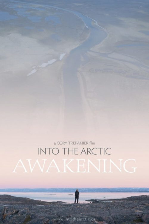 Into the Artic: Awakening Poster