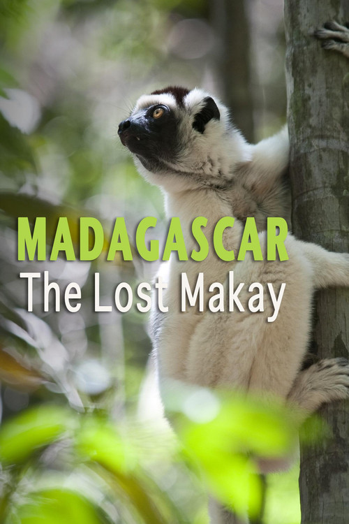 Madagascar: The Lost Makay Poster