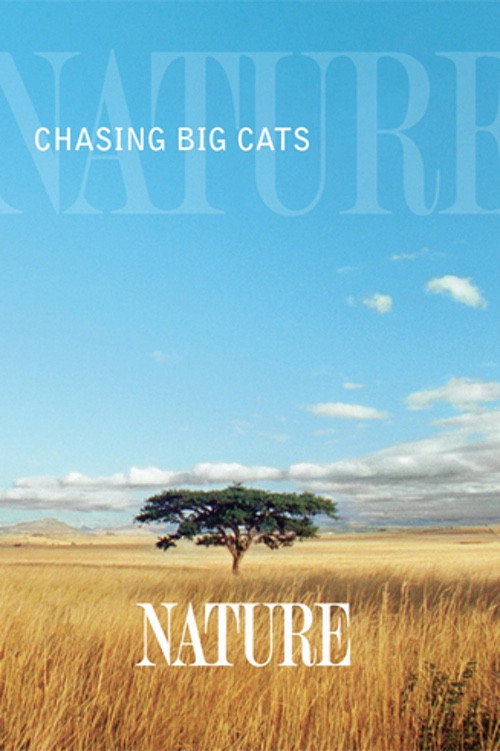 Chasing Big Cats Poster