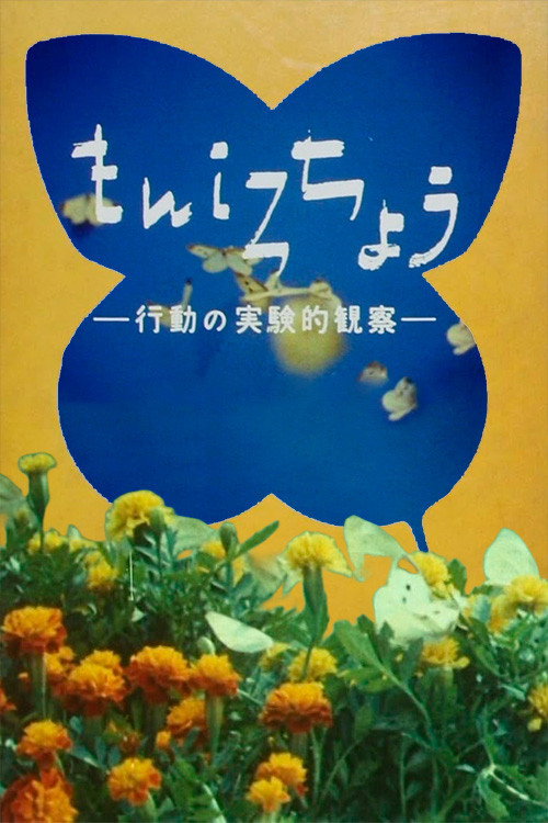 The Cabbage Butterfly Poster