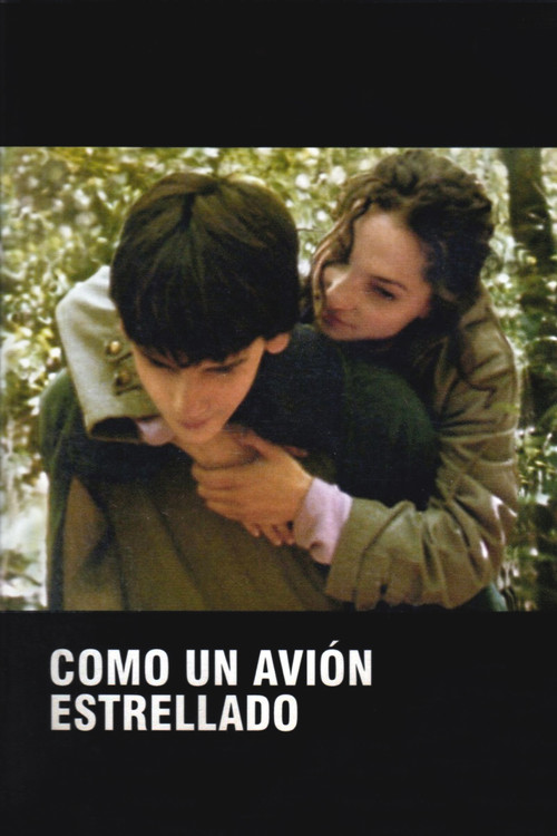 Como un avión estrellado Poster