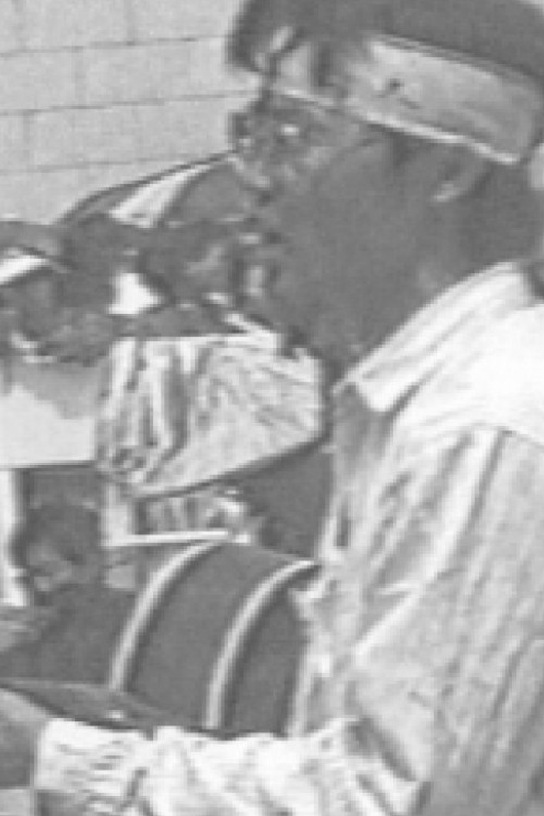 Springtime of the Wild Lily Poster