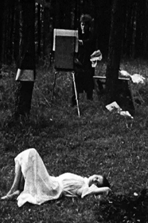 Two People in the Woods Poster