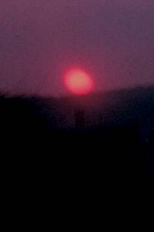 Carolyn and Me: Part Three Poster