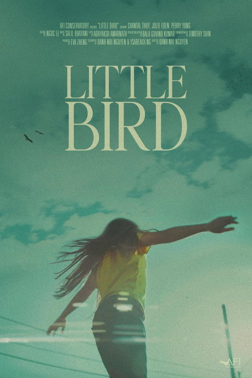 Little Bird Poster