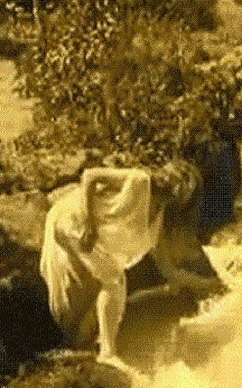 Nude Woman by Waterfall Poster