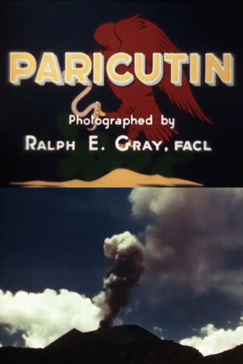 El Paricutin Poster