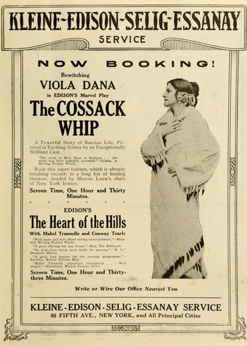 The Cossack Whip Poster