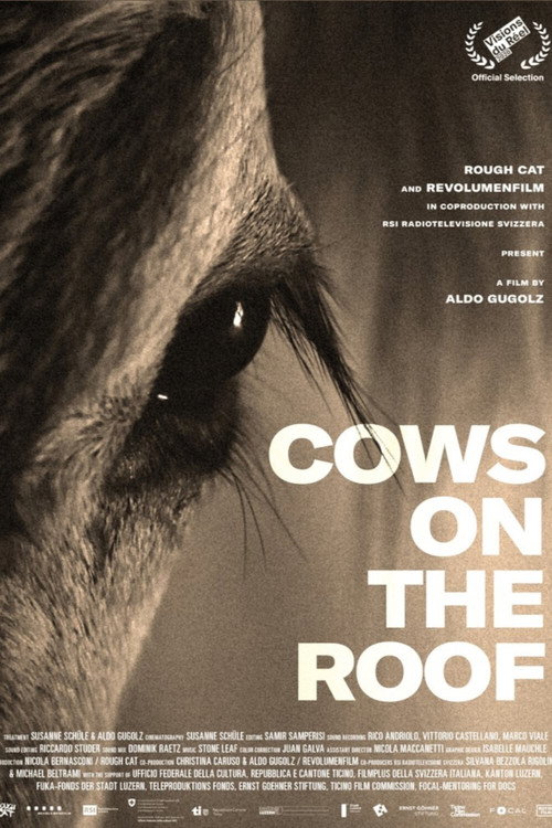 Cows on the Roof Poster