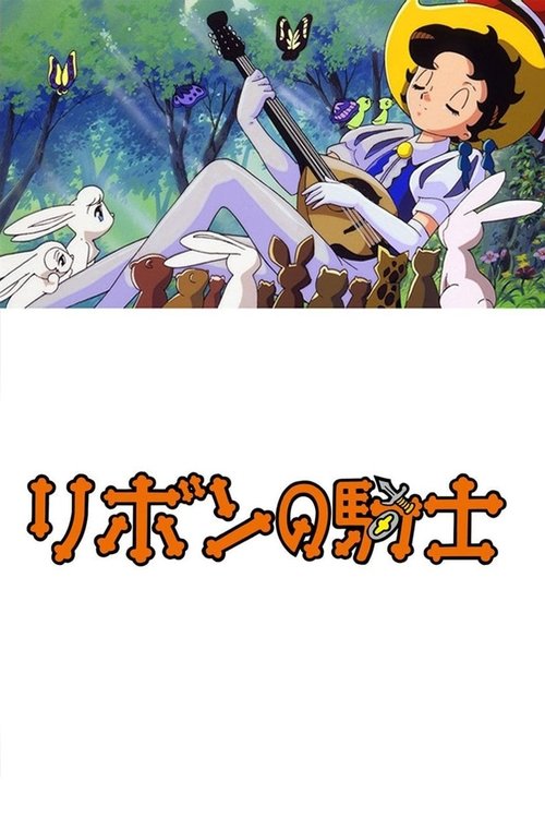 Princess Knight Poster