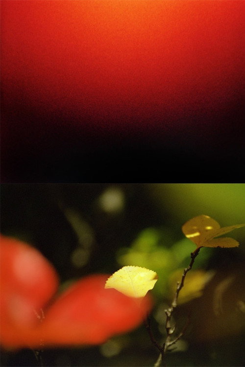 Wot the Ancient Sod Poster