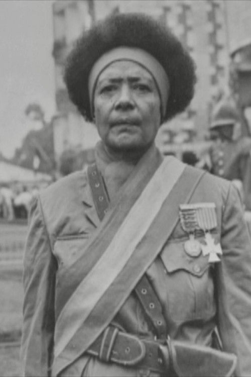 Black Lions – Roman Wolves Poster