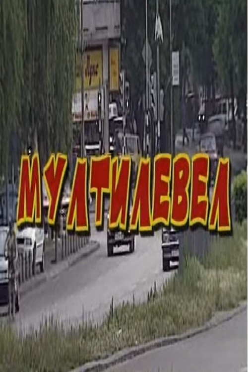 Multilevel Poster
