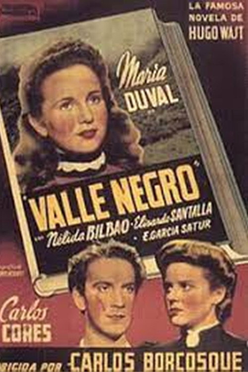 Dark Valley Poster