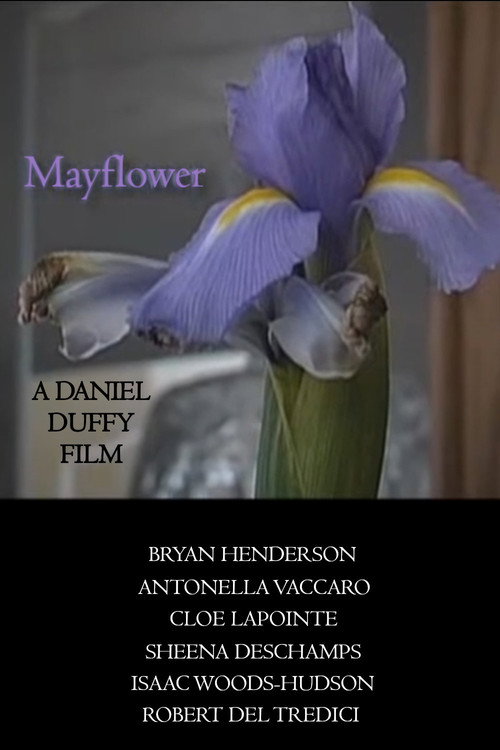 Mayflower Poster