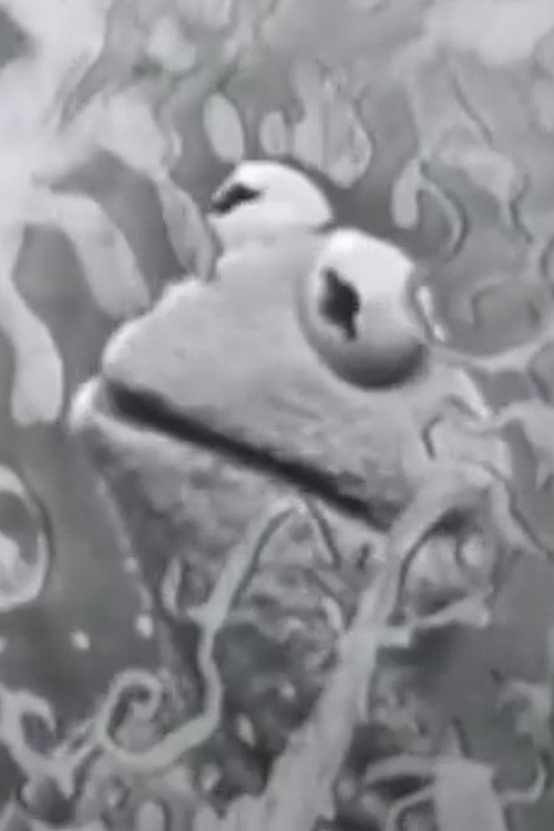 Visual Thinking Poster