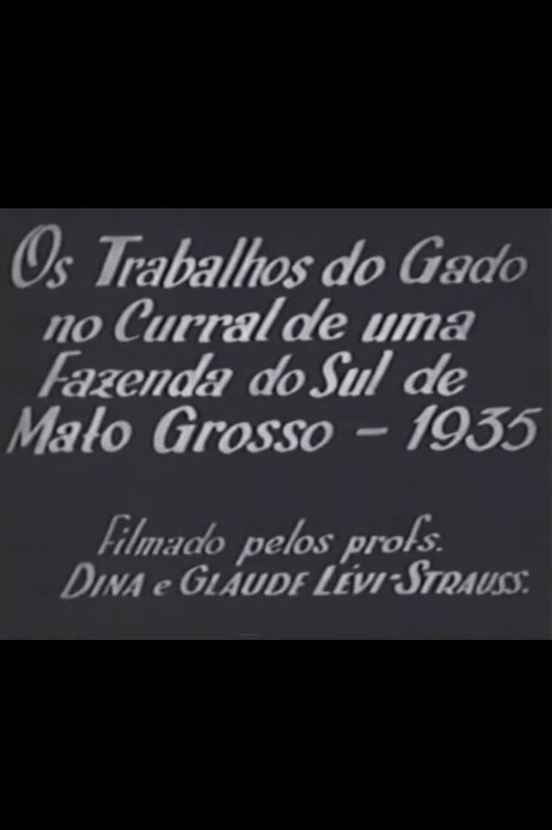 Cattle Work in the Corral of a Farm in Southern Mato Grosso Poster