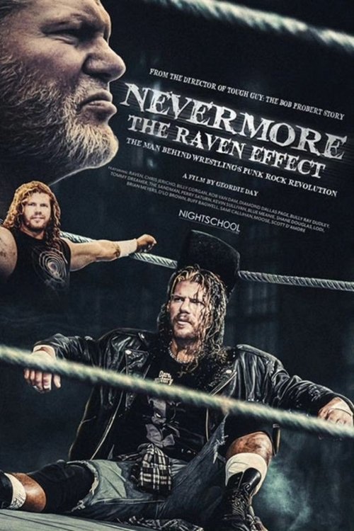 Nevermore: The Raven Effect Poster