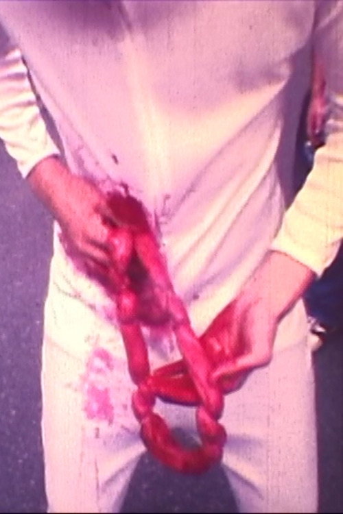 Kimi no haguki Poster