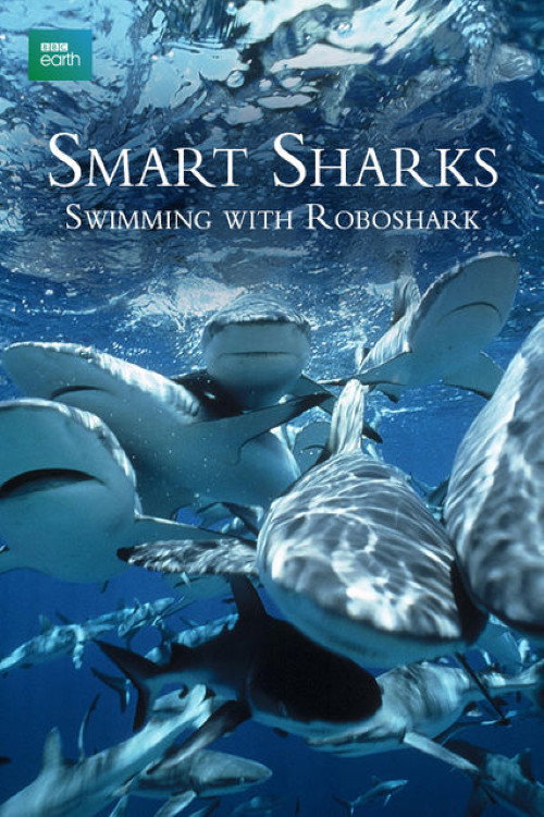 Smart Sharks: Swimming With Roboshark Poster