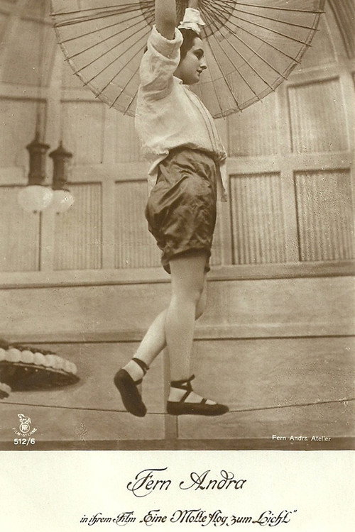 Eine Motte flog zum Licht Poster