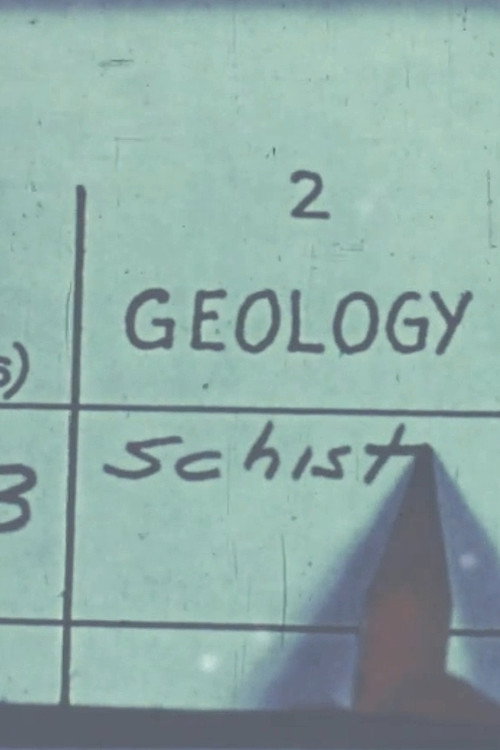 Schist Poster