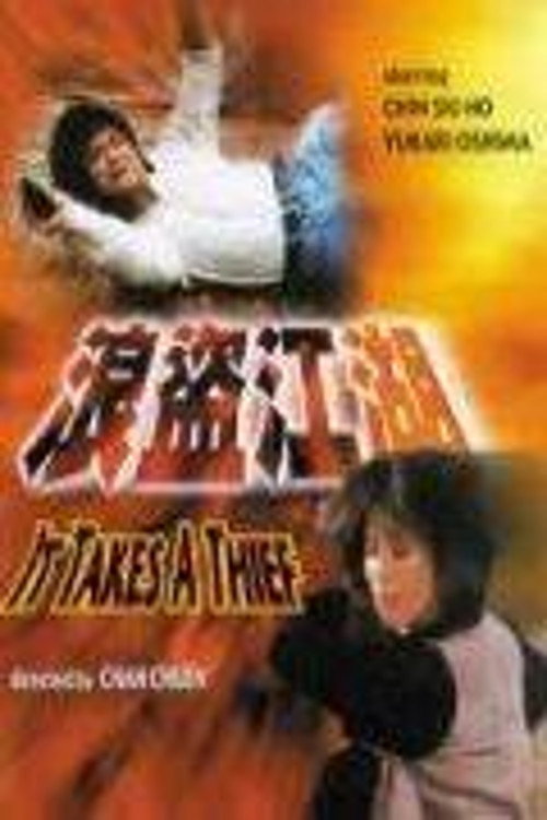 It Takes a Thief Poster