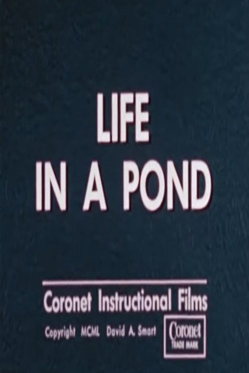 Life in a Pond Poster