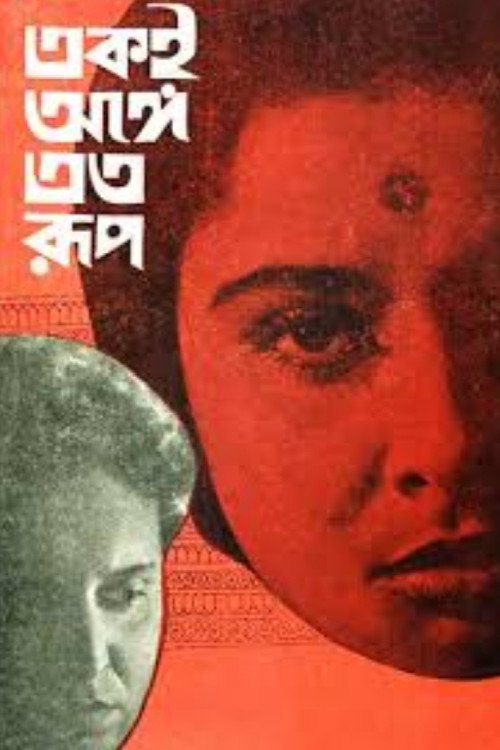 One Person, Many Forms Poster