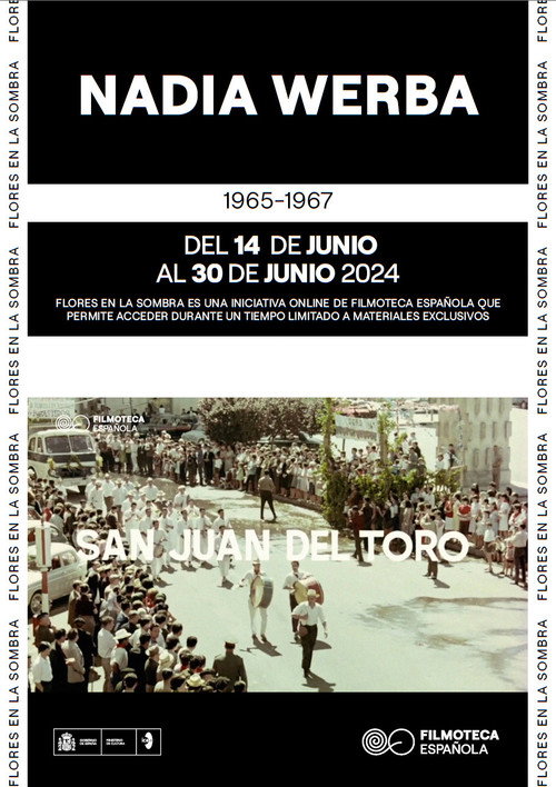 San Juan del Toro Poster