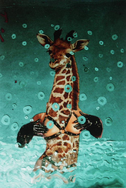 There's a Pervert in Our Pool! Poster