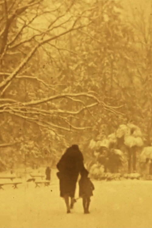 Sui Bastioni / Neve Ai Giardini / Battaglia / Caduta Poster