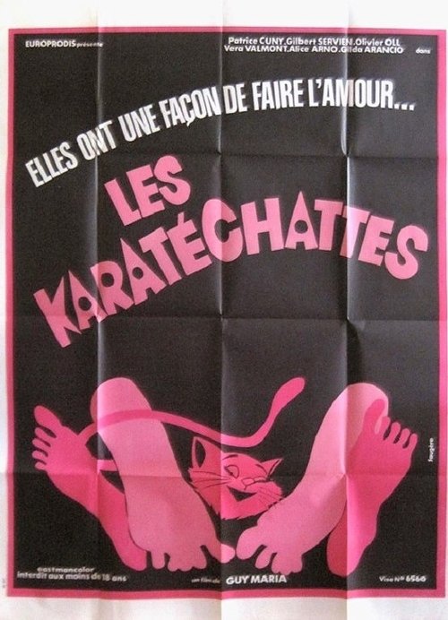 Les pornochattes Poster
