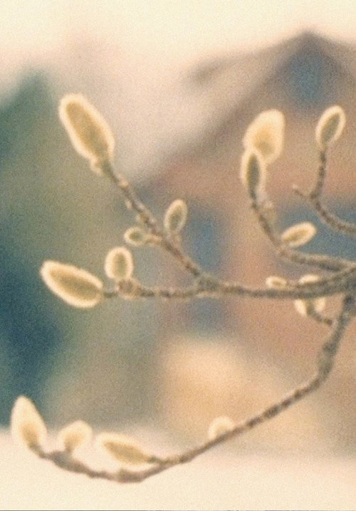 A Walk / Im Park / ZUOZ Poster