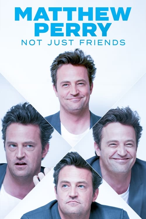 Matthew Perry: Not Just Friends Poster