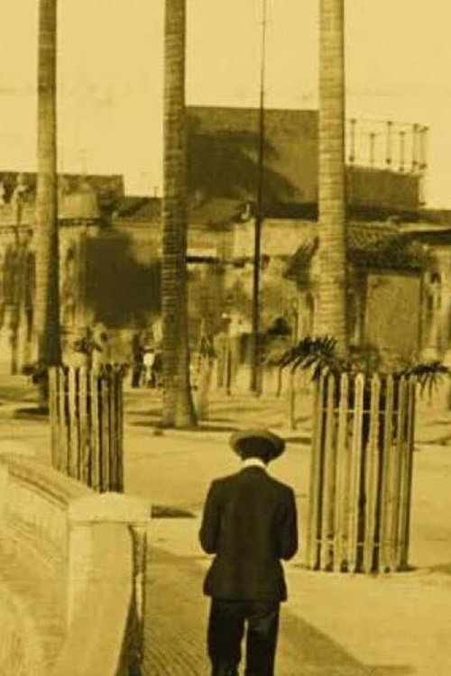 Panorama of Rio de Janeiro Poster