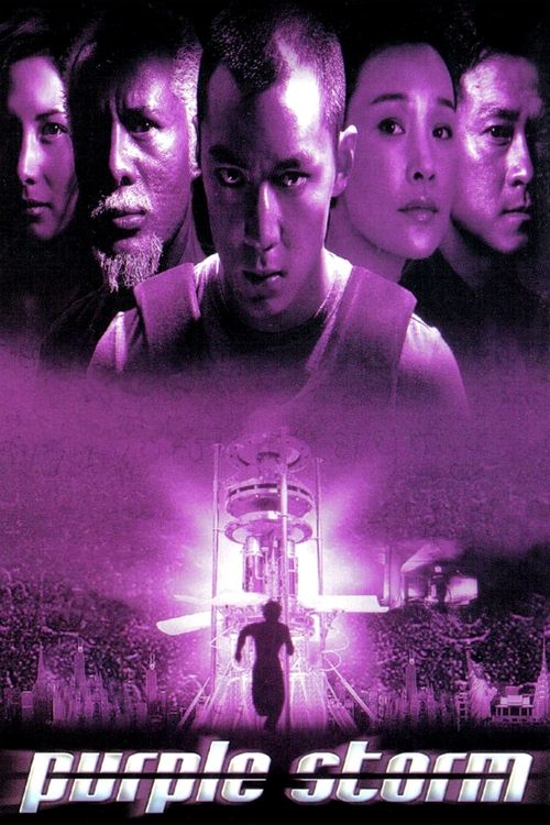 Purple Storm Poster