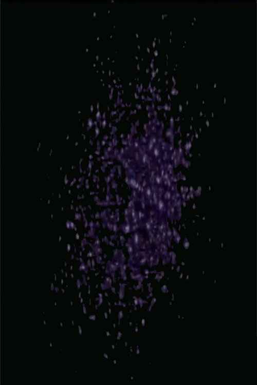 A Sequence from the Evolution of Form Poster