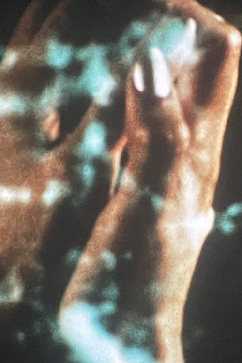 Transmigration Poster