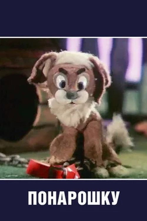 Ponaroshka Poster