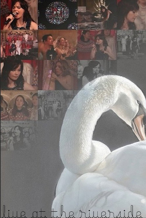 Björk: Live at Riverside Church Poster