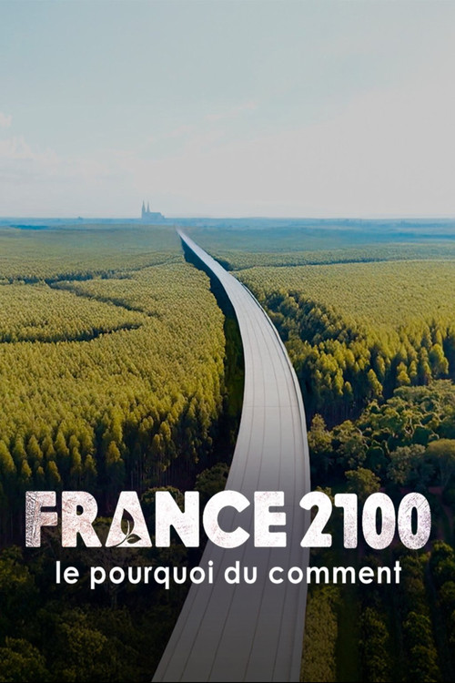 France 2100, le pourquoi du comment Poster