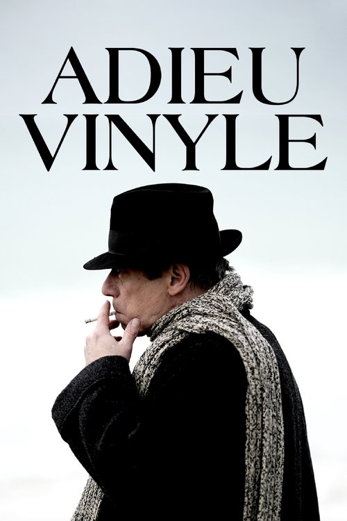 Goodbye Vinyle Poster