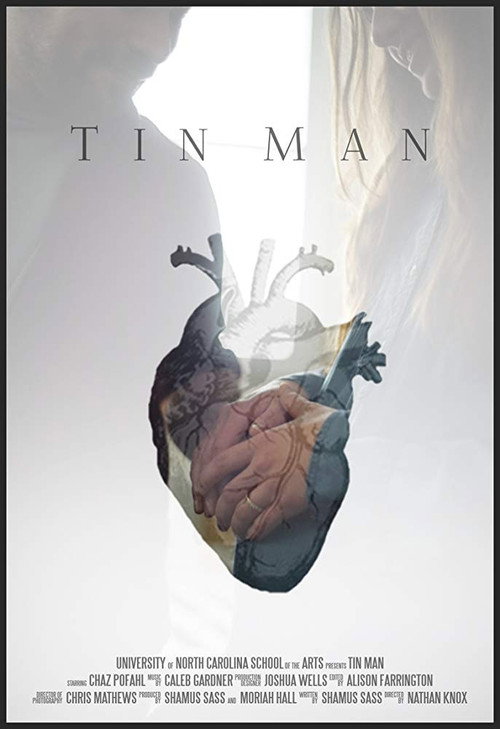 Tin Man Poster