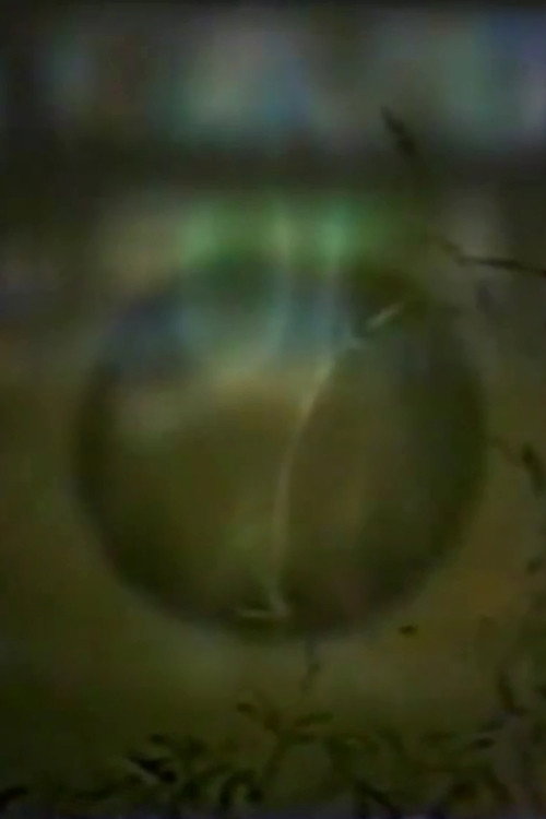 Up to West House Alone Poster