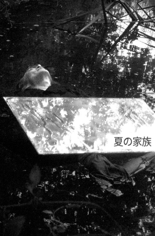 A Summer Family Poster