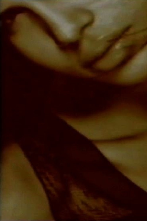 Distorted Reflections Poster