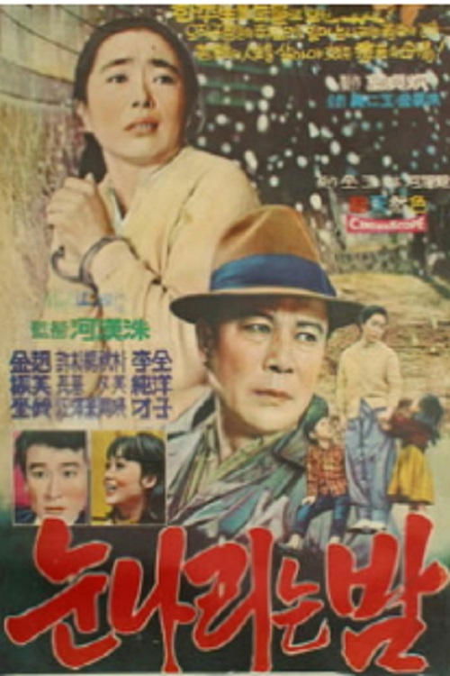 The Snow Falling Night Poster