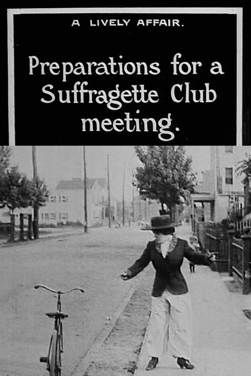 A Lively Affair Poster