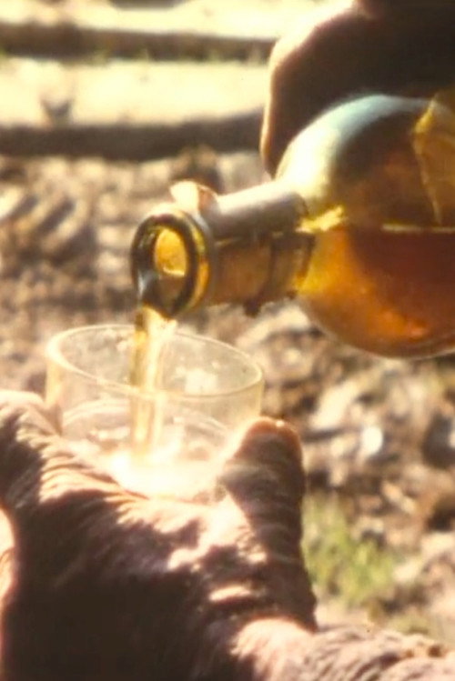 Before gulping Poster